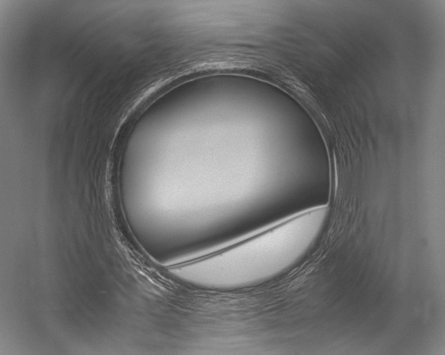 X0000057080387200509090918