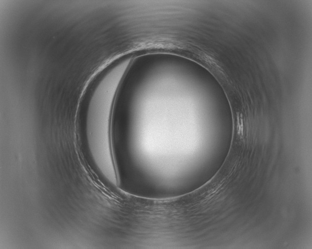 X0000057080388200509090918