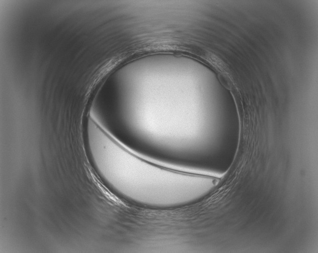 X0000057080389200509090918