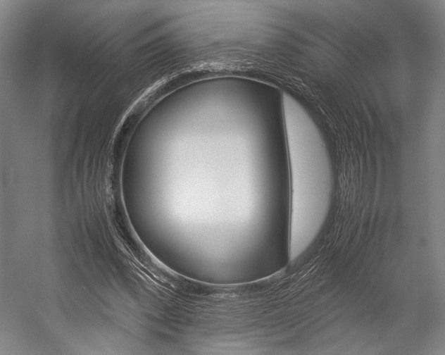 X0000057080392200509090918