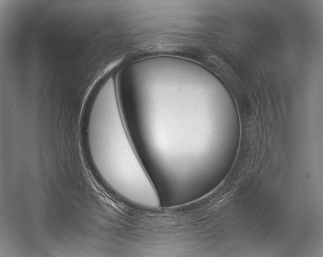 X0000057080395200509090918
