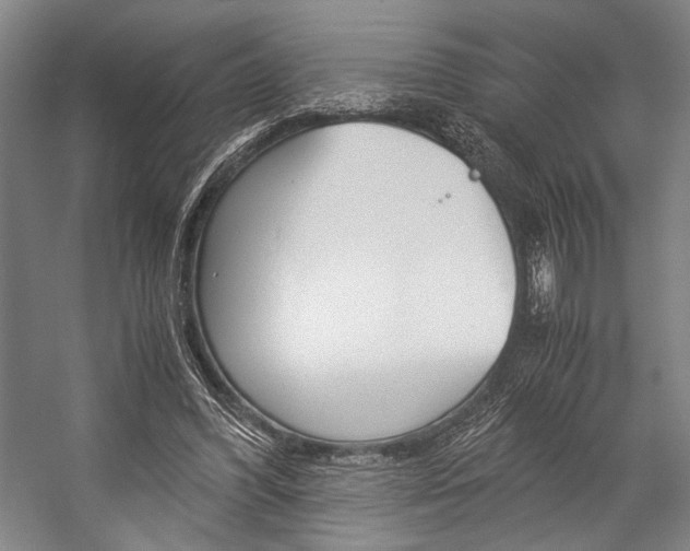 X0000057080396200509090918