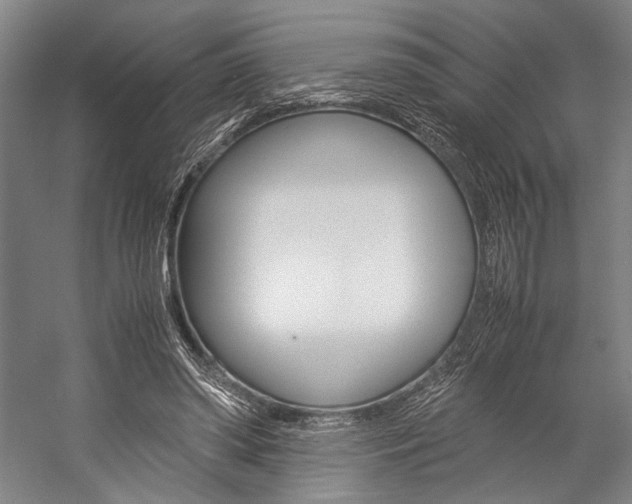 X0000057080398200509090918