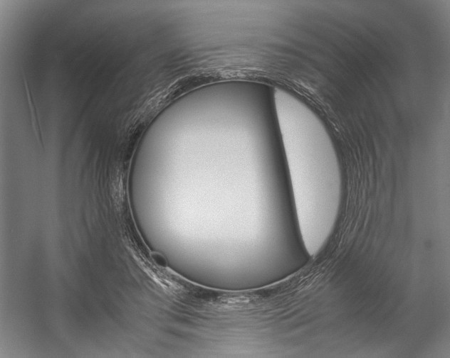 X0000057080405200509090918