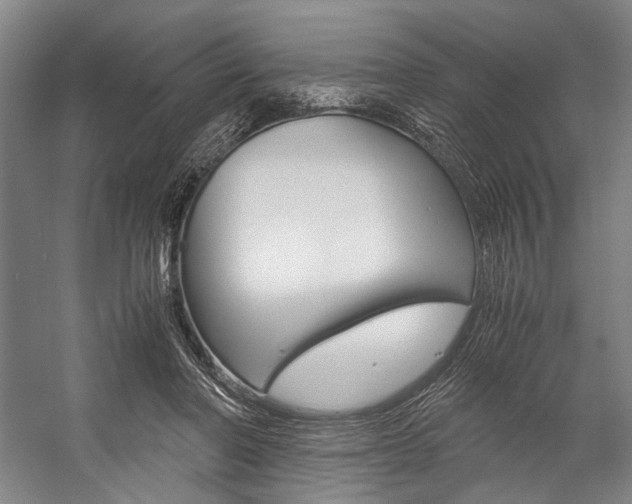 X0000057080406200509090918