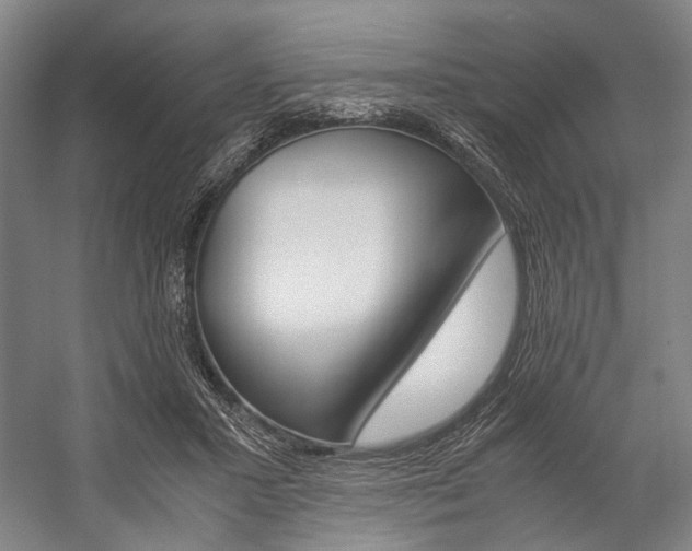 X0000057080407200509090918