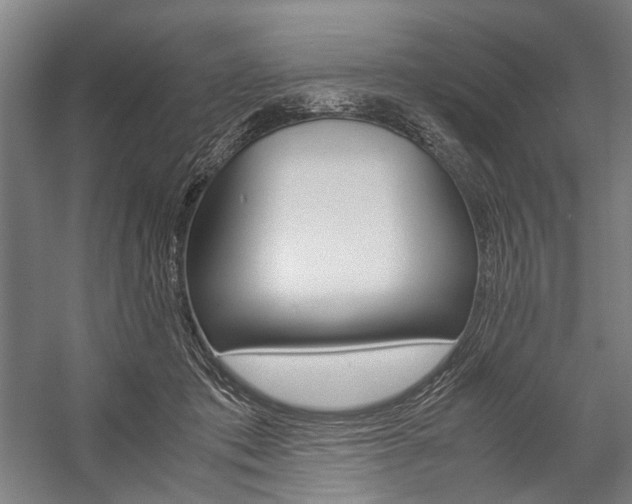 X0000057080413200509090918