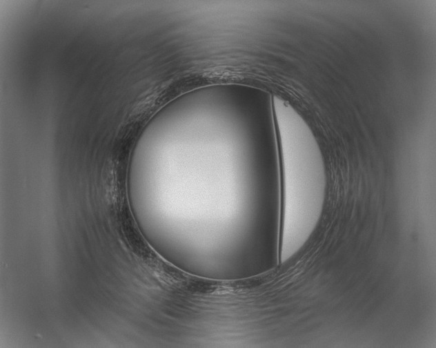 X0000057080416200509090918