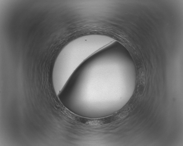 X0000057080417200509090918