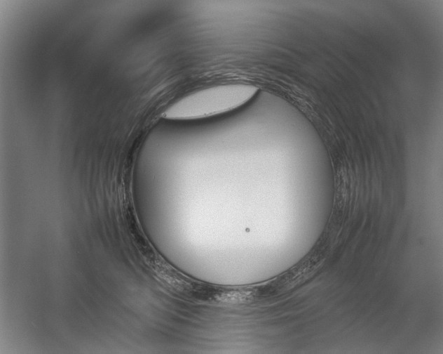 X0000057080422200509090918
