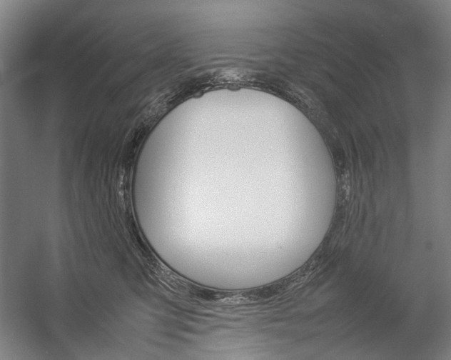 X0000057080423200509090918