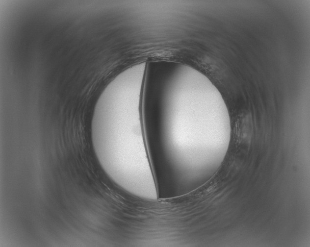 X0000057080424200509090917