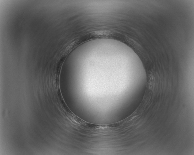 X0000057080428200509090917