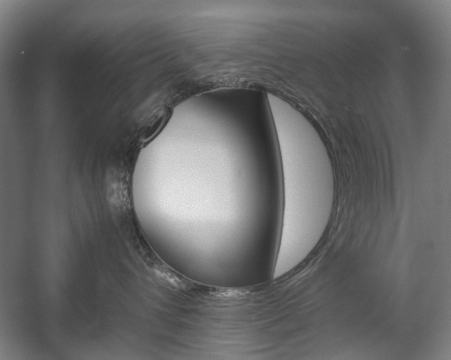 X0000057080432200509090917