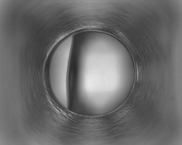 X0000057080435200509090917