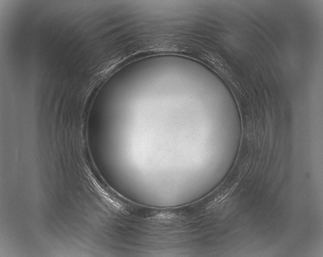 X0000057080441200509090917
