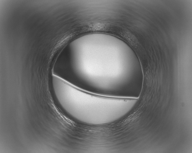 X0000057080442200509090917