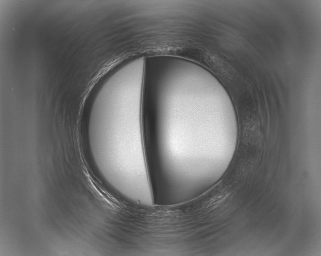 X0000057080443200509090917