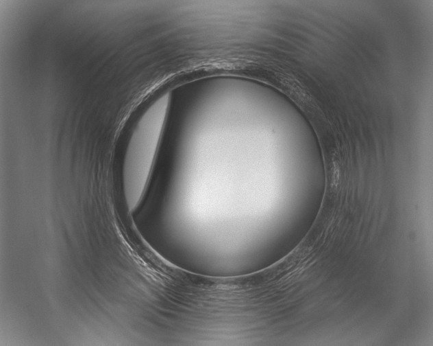 X0000057080444200509090917