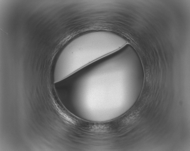 X0000057080445200509090917