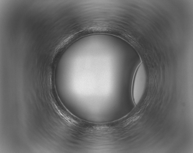 X0000057080446200509090917