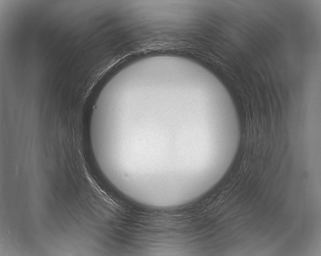 X0000057080448200509090917