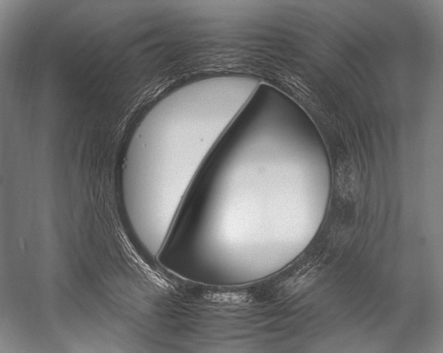 X0000057080449200509090917