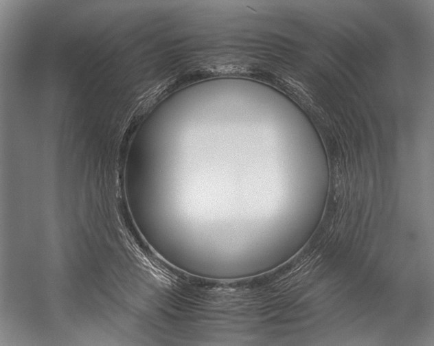 X0000057080453200509090917