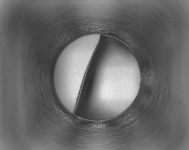 X0000057080458200509090917