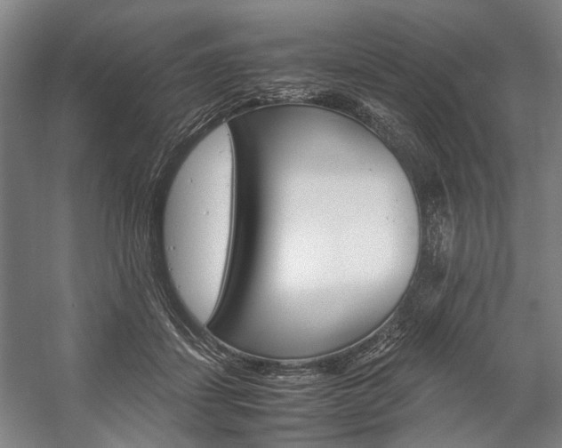X0000057080459200509090917