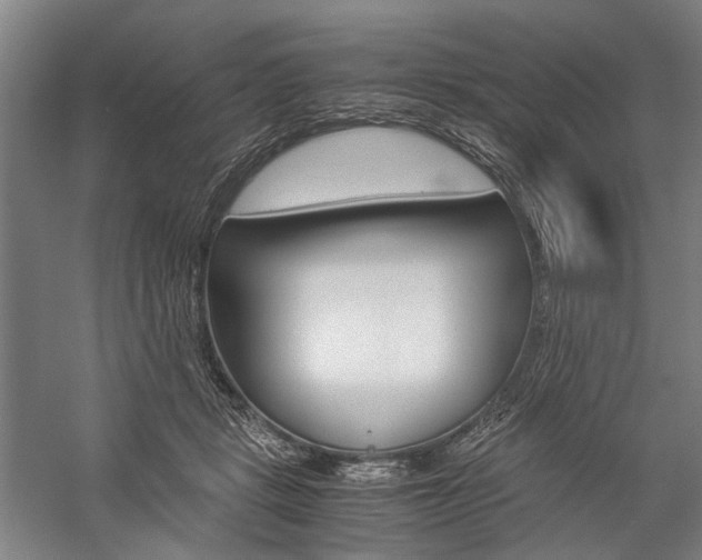 X0000057080461200509090917