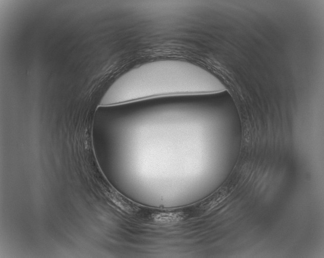 X0000057080465200509090917