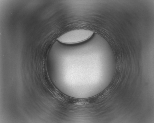 X0000057080468200509090917