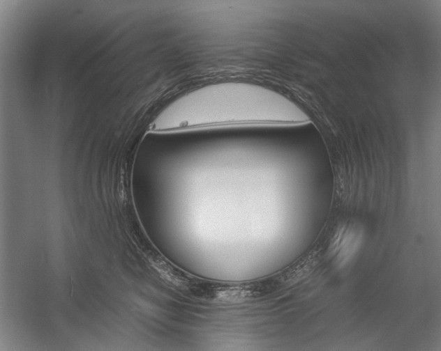 X0000057080470200509090917