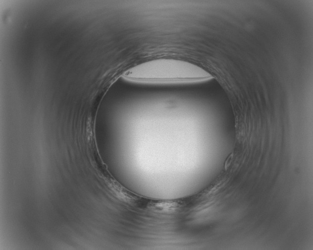 X0000057080478200509090917