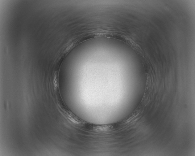 X0000057080479200509090917