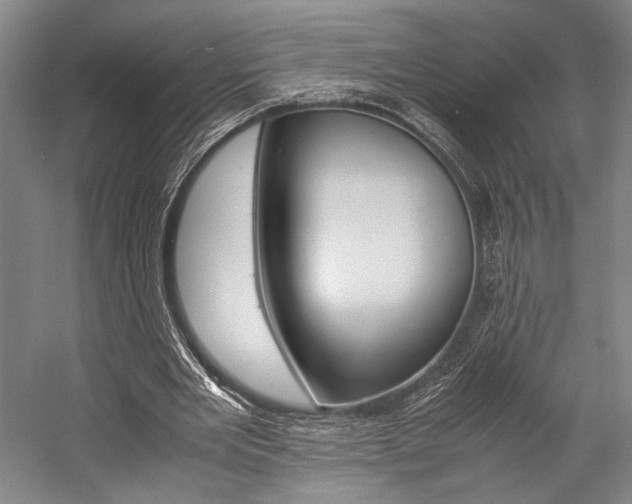 X0000057080485200509090916