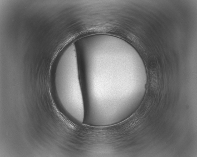 X0000057080486200509090916