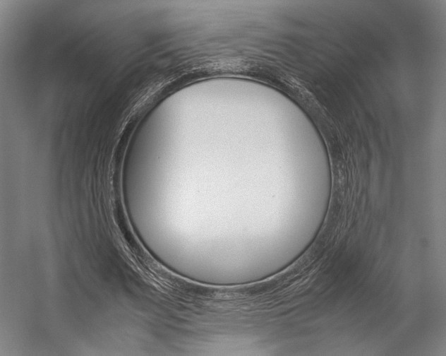 X0000057080487200509090916