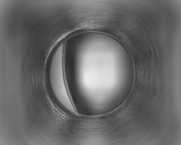 X0000057080488200509090916