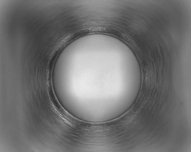 X0000057080490200509090916