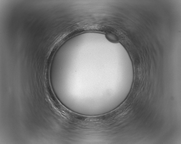 X0000057080491200509090916