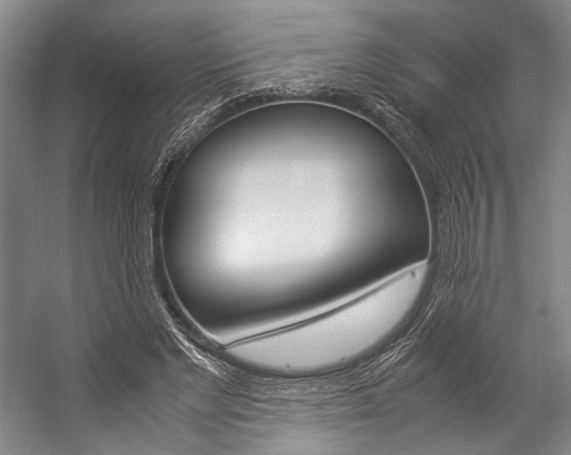 X0000057080493200509090916