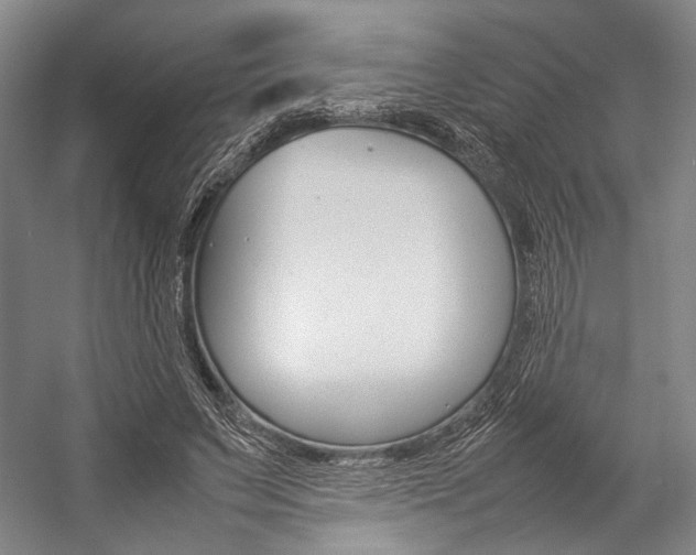 X0000057080495200509090916