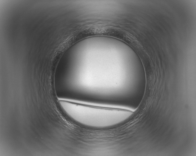 X0000057080497200509090916