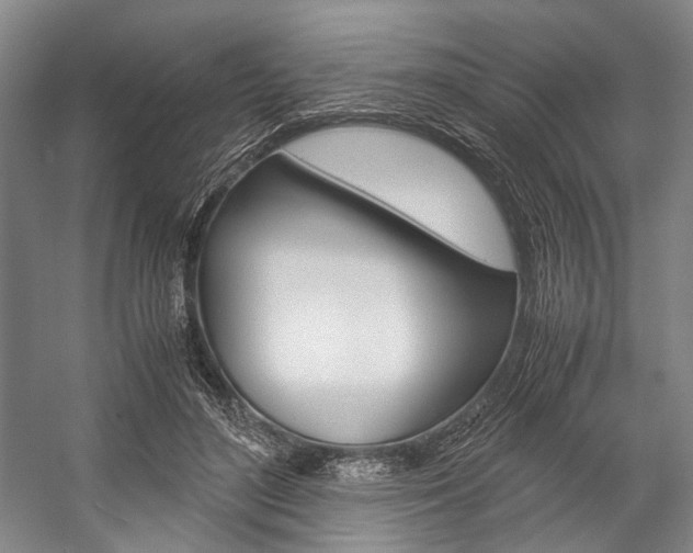 X0000057080500200509090916