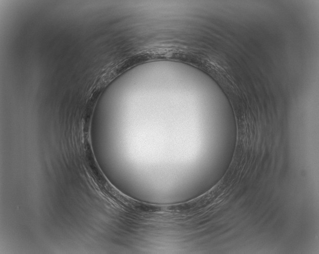 X0000057080504200509090916