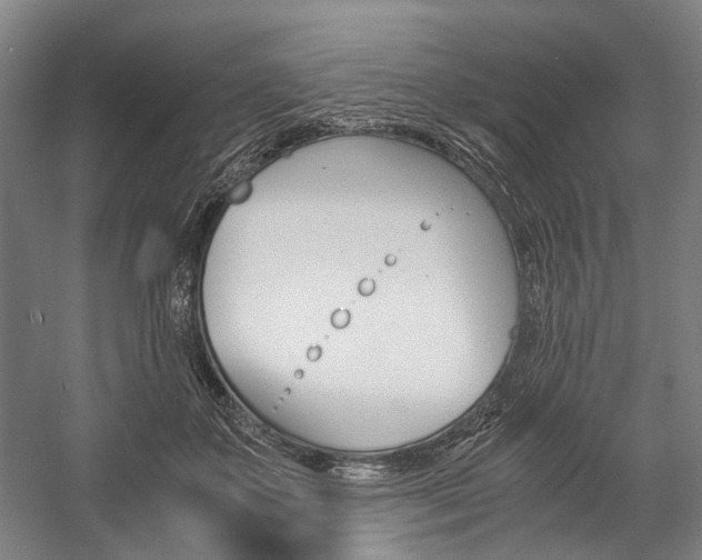 X0000057080507200509090916