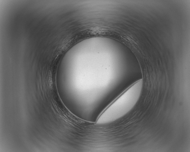 X0000057080508200509090916