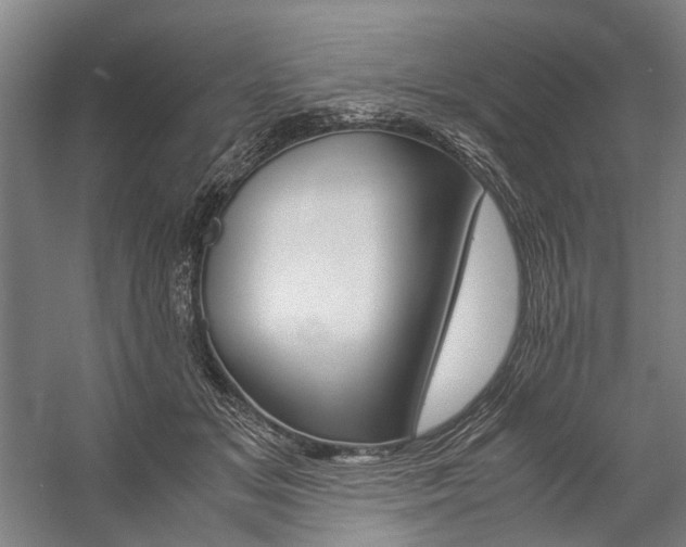 X0000057080509200509090916